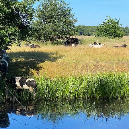 Hotel De Ruwenberg Den Bosch - Sint Michielsgestel Kültér fotó