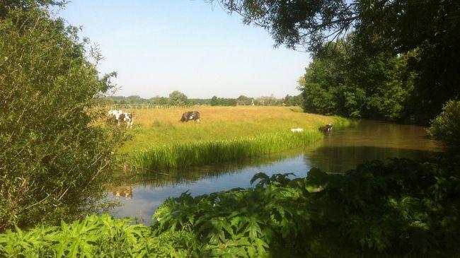 Hotel De Ruwenberg Den Bosch - Sint Michielsgestel Létesítmények fotó